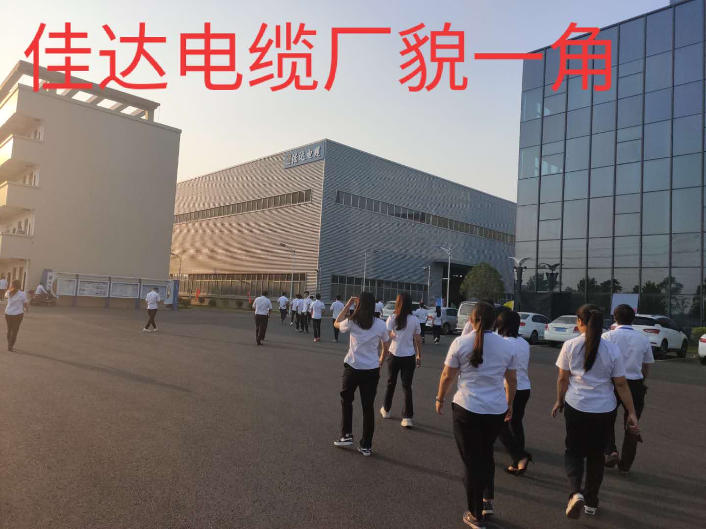 厂貌一角 厂貌一角